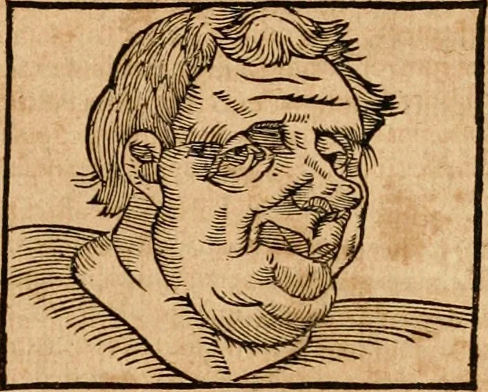 An illustration from Ioannis Pierii Valeriani Bellvnensis Hieroglyphica, sive, De sacris Ægyptiorvm aliarumq gentium literis commentariorum libri LVIII : cum duobus alijs ab eruditissimo viro annexis : accesserunt loco auctarij, Hieroglyphicorum collectanea, ex veteribus & recentioribus auctoribus descripta, & in sex libros digesta : Horapollinis item hieroglyphicorum libri duo, ex postrema Dauidis Hschelij correctione : prætereà eiusdem Pierij declamatiuncula pro barbis sacerdotum, & reliqua opuscula siue poemata omnia, 1614, leaf 444