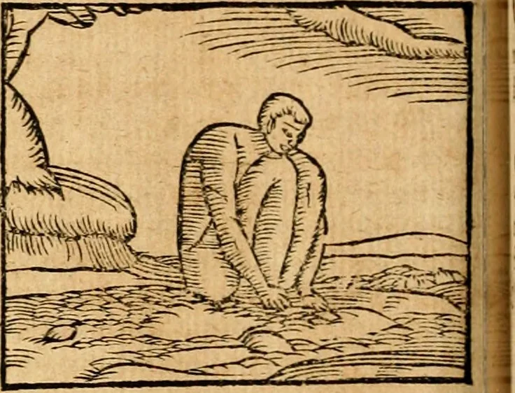 An illustration from Ioannis Pierii Valeriani Bellvnensis Hieroglyphica, sive, De sacris Ægyptiorvm aliarumq gentium literis commentariorum libri LVIII : cum duobus alijs ab eruditissimo viro annexis : accesserunt loco auctarij, Hieroglyphicorum collectanea, ex veteribus & recentioribus auctoribus descripta, & in sex libros digesta : Horapollinis item hieroglyphicorum libri duo, ex postrema Dauidis Hschelij correctione : prætereà eiusdem Pierij declamatiuncula pro barbis sacerdotum, & reliqua opuscula siue poemata omnia, 1614, leaf 449