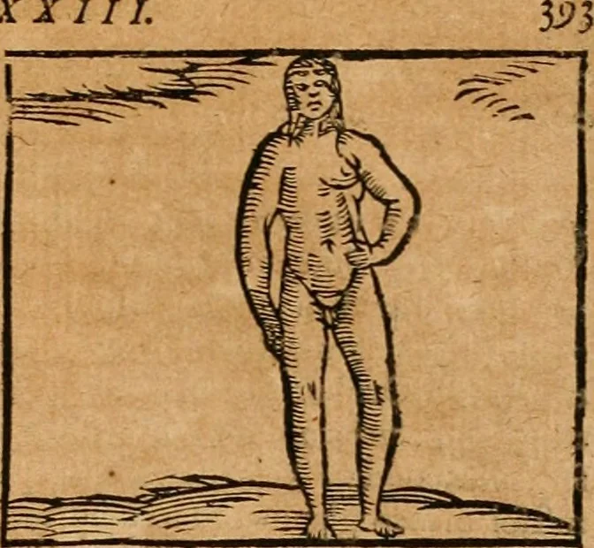 An illustration from Ioannis Pierii Valeriani Bellvnensis Hieroglyphica, sive, De sacris Ægyptiorvm aliarumq gentium literis commentariorum libri LVIII : cum duobus alijs ab eruditissimo viro annexis : accesserunt loco auctarij, Hieroglyphicorum collectanea, ex veteribus & recentioribus auctoribus descripta, & in sex libros digesta : Horapollinis item hieroglyphicorum libri duo, ex postrema Dauidis Hschelij correctione : prætereà eiusdem Pierij declamatiuncula pro barbis sacerdotum, & reliqua opuscula siue poemata omnia, 1614, leaf 456