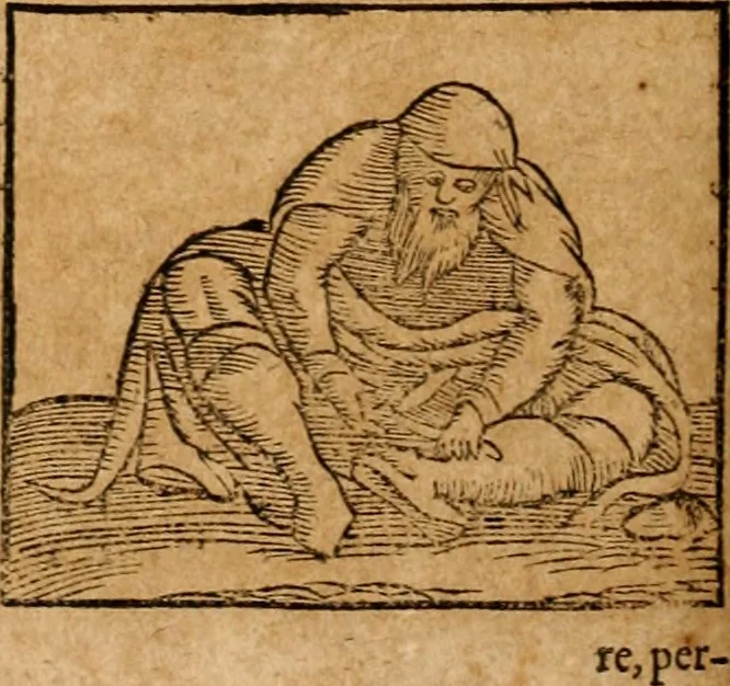 An illustration from Ioannis Pierii Valeriani Bellvnensis Hieroglyphica, sive, De sacris Ægyptiorvm aliarumq gentium literis commentariorum libri LVIII : cum duobus alijs ab eruditissimo viro annexis : accesserunt loco auctarij, Hieroglyphicorum collectanea, ex veteribus & recentioribus auctoribus descripta, & in sex libros digesta : Horapollinis item hieroglyphicorum libri duo, ex postrema Dauidis Hschelij correctione : prætereà eiusdem Pierij declamatiuncula pro barbis sacerdotum, & reliqua opuscula siue poemata omnia, 1614, leaf 477