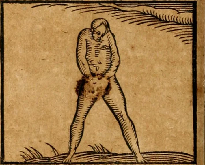 An illustration from Ioannis Pierii Valeriani Bellvnensis Hieroglyphica, sive, De sacris Ægyptiorvm aliarumq gentium literis commentariorum libri LVIII : cum duobus alijs ab eruditissimo viro annexis : accesserunt loco auctarij, Hieroglyphicorum collectanea, ex veteribus & recentioribus auctoribus descripta, & in sex libros digesta : Horapollinis item hieroglyphicorum libri duo, ex postrema Dauidis Hschelij correctione : prætereà eiusdem Pierij declamatiuncula pro barbis sacerdotum, & reliqua opuscula siue poemata omnia, 1614, leaf 479