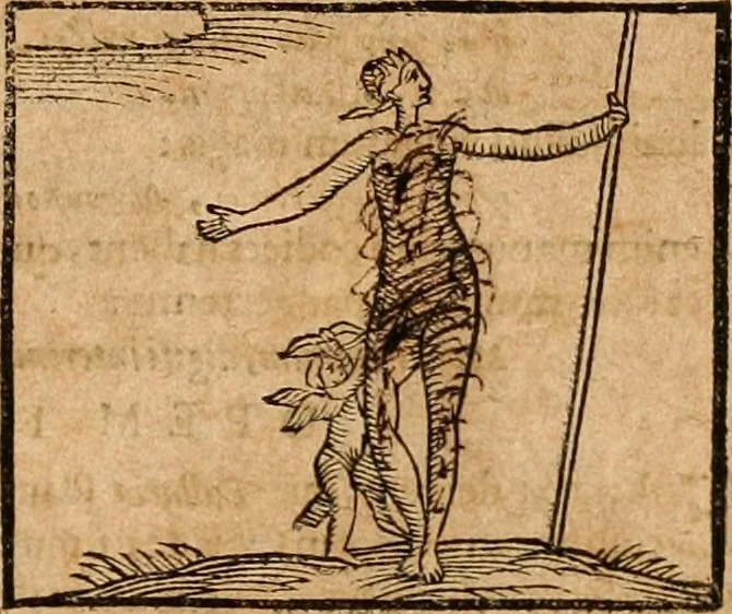An illustration from Ioannis Pierii Valeriani Bellvnensis Hieroglyphica, sive, De sacris Ægyptiorvm aliarumq gentium literis commentariorum libri LVIII : cum duobus alijs ab eruditissimo viro annexis : accesserunt loco auctarij, Hieroglyphicorum collectanea, ex veteribus & recentioribus auctoribus descripta, & in sex libros digesta : Horapollinis item hieroglyphicorum libri duo, ex postrema Dauidis Hschelij correctione : prætereà eiusdem Pierij declamatiuncula pro barbis sacerdotum, & reliqua opuscula siue poemata omnia, 1614, leaf 488