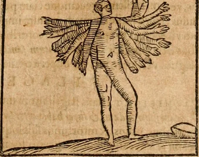 An illustration from Ioannis Pierii Valeriani Bellvnensis Hieroglyphica, sive, De sacris Ægyptiorvm aliarumq gentium literis commentariorum libri LVIII : cum duobus alijs ab eruditissimo viro annexis : accesserunt loco auctarij, Hieroglyphicorum collectanea, ex veteribus & recentioribus auctoribus descripta, & in sex libros digesta : Horapollinis item hieroglyphicorum libri duo, ex postrema Dauidis Hschelij correctione : prætereà eiusdem Pierij declamatiuncula pro barbis sacerdotum, & reliqua opuscula siue poemata omnia, 1614, leaf 488
