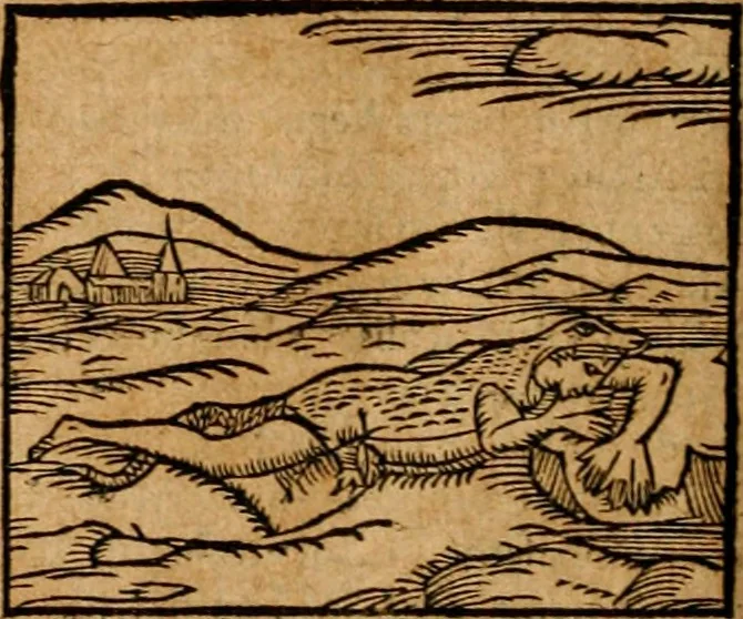 An illustration from Ioannis Pierii Valeriani Bellvnensis Hieroglyphica, sive, De sacris Ægyptiorvm aliarumq gentium literis commentariorum libri LVIII : cum duobus alijs ab eruditissimo viro annexis : accesserunt loco auctarij, Hieroglyphicorum collectanea, ex veteribus & recentioribus auctoribus descripta, & in sex libros digesta : Horapollinis item hieroglyphicorum libri duo, ex postrema Dauidis Hschelij correctione : prætereà eiusdem Pierij declamatiuncula pro barbis sacerdotum, & reliqua opuscula siue poemata omnia, 1614, leaf 493