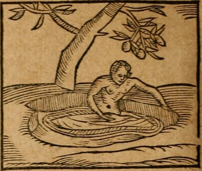 An illustration from Ioannis Pierii Valeriani Bellvnensis Hieroglyphica, sive, De sacris Ægyptiorvm aliarumq gentium literis commentariorum libri LVIII : cum duobus alijs ab eruditissimo viro annexis : accesserunt loco auctarij, Hieroglyphicorum collectanea, ex veteribus & recentioribus auctoribus descripta, & in sex libros digesta : Horapollinis item hieroglyphicorum libri duo, ex postrema Dauidis Hschelij correctione : prætereà eiusdem Pierij declamatiuncula pro barbis sacerdotum, & reliqua opuscula siue poemata omnia, 1614, leaf 497