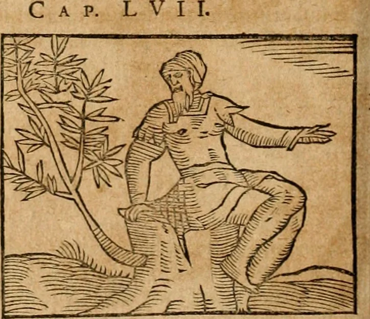 An illustration from Ioannis Pierii Valeriani Bellvnensis Hieroglyphica, sive, De sacris Ægyptiorvm aliarumq gentium literis commentariorum libri LVIII : cum duobus alijs ab eruditissimo viro annexis : accesserunt loco auctarij, Hieroglyphicorum collectanea, ex veteribus & recentioribus auctoribus descripta, & in sex libros digesta : Horapollinis item hieroglyphicorum libri duo, ex postrema Dauidis Hschelij correctione : prætereà eiusdem Pierij declamatiuncula pro barbis sacerdotum, & reliqua opuscula siue poemata omnia, 1614, leaf 499