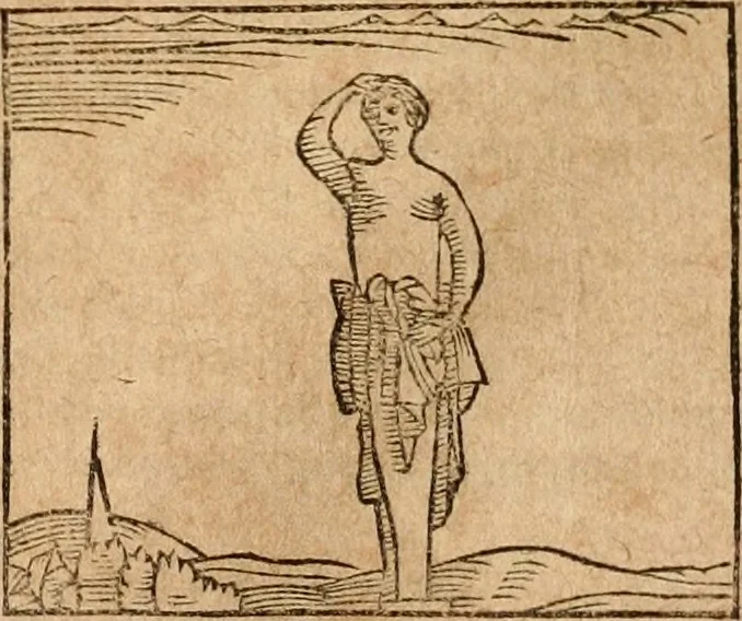An illustration from Ioannis Pierii Valeriani Bellvnensis Hieroglyphica, sive, De sacris Ægyptiorvm aliarumq gentium literis commentariorum libri LVIII : cum duobus alijs ab eruditissimo viro annexis : accesserunt loco auctarij, Hieroglyphicorum collectanea, ex veteribus & recentioribus auctoribus descripta, & in sex libros digesta : Horapollinis item hieroglyphicorum libri duo, ex postrema Dauidis Hschelij correctione : prætereà eiusdem Pierij declamatiuncula pro barbis sacerdotum, & reliqua opuscula siue poemata omnia, 1614, leaf 502