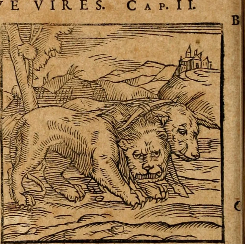 An illustration from Ioannis Pierii Valeriani Bellvnensis Hieroglyphica, sive, De sacris Ægyptiorvm aliarumq gentium literis commentariorum libri LVIII : cum duobus alijs ab eruditissimo viro annexis : accesserunt loco auctarij, Hieroglyphicorum collectanea, ex veteribus & recentioribus auctoribus descripta, & in sex libros digesta : Horapollinis item hieroglyphicorum libri duo, ex postrema Dauidis Hschelij correctione : prætereà eiusdem Pierij declamatiuncula pro barbis sacerdotum, & reliqua opuscula siue poemata omnia, 1614, leaf 65