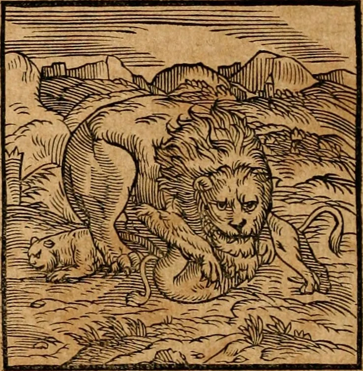 An illustration from Ioannis Pierii Valeriani Bellvnensis Hieroglyphica, sive, De sacris Ægyptiorvm aliarumq gentium literis commentariorum libri LVIII : cum duobus alijs ab eruditissimo viro annexis : accesserunt loco auctarij, Hieroglyphicorum collectanea, ex veteribus & recentioribus auctoribus descripta, & in sex libros digesta : Horapollinis item hieroglyphicorum libri duo, ex postrema Dauidis Hschelij correctione : prætereà eiusdem Pierij declamatiuncula pro barbis sacerdotum, & reliqua opuscula siue poemata omnia, 1614, leaf 69