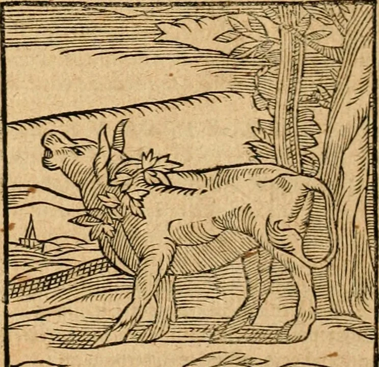 An illustration from Ioannis Pierii Valeriani Bellvnensis Hieroglyphica, sive, De sacris Ægyptiorvm aliarumq gentium literis commentariorum libri LVIII : cum duobus alijs ab eruditissimo viro annexis : accesserunt loco auctarij, Hieroglyphicorum collectanea, ex veteribus & recentioribus auctoribus descripta, & in sex libros digesta : Horapollinis item hieroglyphicorum libri duo, ex postrema Dauidis Hschelij correctione : prætereà eiusdem Pierij declamatiuncula pro barbis sacerdotum, & reliqua opuscula siue poemata omnia, 1614, leaf 719