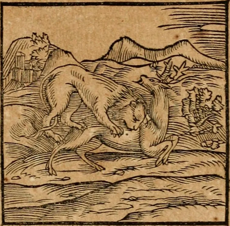 An illustration from Ioannis Pierii Valeriani Bellvnensis Hieroglyphica, sive, De sacris Ægyptiorvm aliarumq gentium literis commentariorum libri LVIII : cum duobus alijs ab eruditissimo viro annexis : accesserunt loco auctarij, Hieroglyphicorum collectanea, ex veteribus & recentioribus auctoribus descripta, & in sex libros digesta : Horapollinis item hieroglyphicorum libri duo, ex postrema Dauidis Hschelij correctione : prætereà eiusdem Pierij declamatiuncula pro barbis sacerdotum, & reliqua opuscula siue poemata omnia, 1614, leaf 80