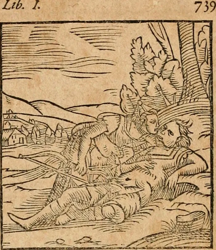 An illustration from Ioannis Pierii Valeriani Bellvnensis Hieroglyphica, sive, De sacris Ægyptiorvm aliarumq gentium literis commentariorum libri LVIII : cum duobus alijs ab eruditissimo viro annexis : accesserunt loco auctarij, Hieroglyphicorum collectanea, ex veteribus & recentioribus auctoribus descripta, & in sex libros digesta : Horapollinis item hieroglyphicorum libri duo, ex postrema Dauidis Hschelij correctione : prætereà eiusdem Pierij declamatiuncula pro barbis sacerdotum, & reliqua opuscula siue poemata omnia, 1614, leaf 802