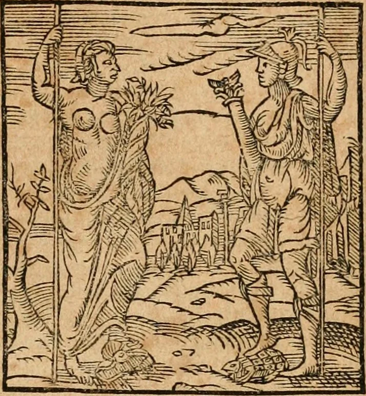 An illustration from Ioannis Pierii Valeriani Bellvnensis Hieroglyphica, sive, De sacris Ægyptiorvm aliarumq gentium literis commentariorum libri LVIII : cum duobus alijs ab eruditissimo viro annexis : accesserunt loco auctarij, Hieroglyphicorum collectanea, ex veteribus & recentioribus auctoribus descripta, & in sex libros digesta : Horapollinis item hieroglyphicorum libri duo, ex postrema Dauidis Hschelij correctione : prætereà eiusdem Pierij declamatiuncula pro barbis sacerdotum, & reliqua opuscula siue poemata omnia, 1614, leaf 804
