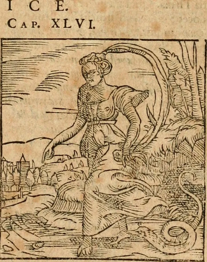 An illustration from Ioannis Pierii Valeriani Bellvnensis Hieroglyphica, sive, De sacris Ægyptiorvm aliarumq gentium literis commentariorum libri LVIII : cum duobus alijs ab eruditissimo viro annexis : accesserunt loco auctarij, Hieroglyphicorum collectanea, ex veteribus & recentioribus auctoribus descripta, & in sex libros digesta : Horapollinis item hieroglyphicorum libri duo, ex postrema Dauidis Hschelij correctione : prætereà eiusdem Pierij declamatiuncula pro barbis sacerdotum, & reliqua opuscula siue poemata omnia, 1614, leaf 808