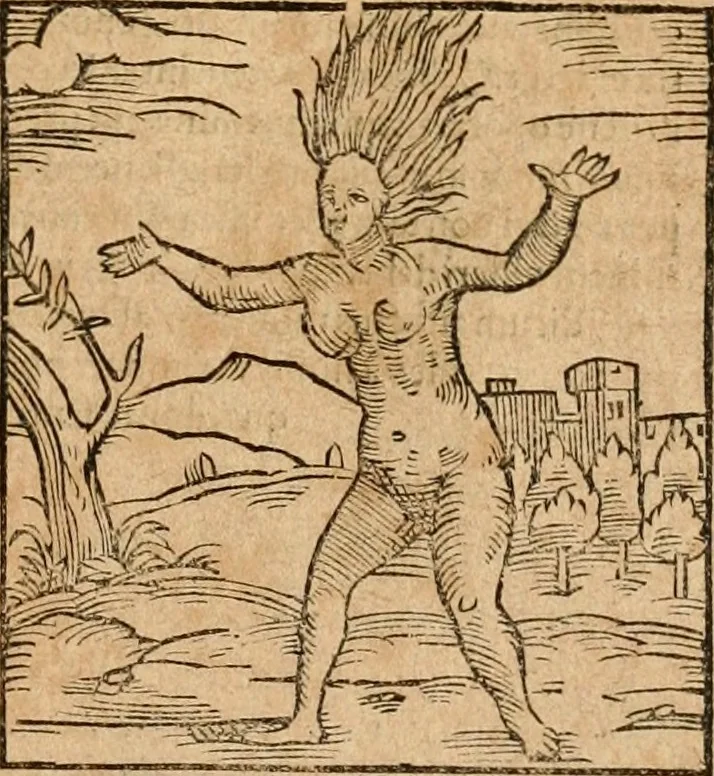 An illustration from Ioannis Pierii Valeriani Bellvnensis Hieroglyphica, sive, De sacris Ægyptiorvm aliarumq gentium literis commentariorum libri LVIII : cum duobus alijs ab eruditissimo viro annexis : accesserunt loco auctarij, Hieroglyphicorum collectanea, ex veteribus & recentioribus auctoribus descripta, & in sex libros digesta : Horapollinis item hieroglyphicorum libri duo, ex postrema Dauidis Hschelij correctione : prætereà eiusdem Pierij declamatiuncula pro barbis sacerdotum, & reliqua opuscula siue poemata omnia, 1614, leaf 810