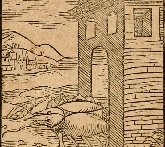An illustration from Ioannis Pierii Valeriani Bellvnensis Hieroglyphica, sive, De sacris Ægyptiorvm aliarumq gentium literis commentariorum libri LVIII : cum duobus alijs ab eruditissimo viro annexis : accesserunt loco auctarij, Hieroglyphicorum collectanea, ex veteribus & recentioribus auctoribus descripta, & in sex libros digesta : Horapollinis item hieroglyphicorum libri duo, ex postrema Dauidis Hschelij correctione : prætereà eiusdem Pierij declamatiuncula pro barbis sacerdotum, & reliqua opuscula siue poemata omnia, 1614, leaf 814