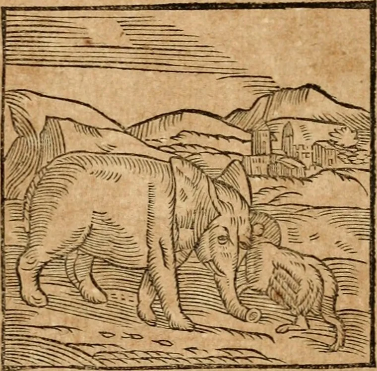 An illustration from Ioannis Pierii Valeriani Bellvnensis Hieroglyphica, sive, De sacris Ægyptiorvm aliarumq gentium literis commentariorum libri LVIII : cum duobus alijs ab eruditissimo viro annexis : accesserunt loco auctarij, Hieroglyphicorum collectanea, ex veteribus & recentioribus auctoribus descripta, & in sex libros digesta : Horapollinis item hieroglyphicorum libri duo, ex postrema Dauidis Hschelij correctione : prætereà eiusdem Pierij declamatiuncula pro barbis sacerdotum, & reliqua opuscula siue poemata omnia, 1614, leaf 84