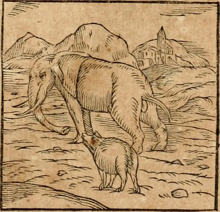 An illustration from Ioannis Pierii Valeriani Bellvnensis Hieroglyphica, sive, De sacris Ægyptiorvm aliarumq gentium literis commentariorum libri LVIII : cum duobus alijs ab eruditissimo viro annexis : accesserunt loco auctarij, Hieroglyphicorum collectanea, ex veteribus & recentioribus auctoribus descripta, & in sex libros digesta : Horapollinis item hieroglyphicorum libri duo, ex postrema Dauidis Hschelij correctione : prætereà eiusdem Pierij declamatiuncula pro barbis sacerdotum, & reliqua opuscula siue poemata omnia, 1614, leaf 84