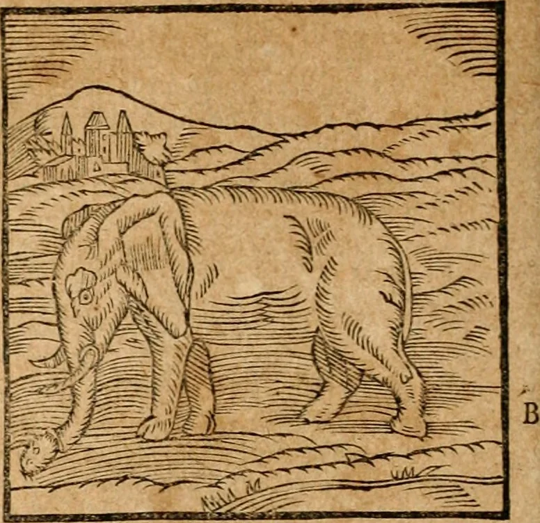 An illustration from Ioannis Pierii Valeriani Bellvnensis Hieroglyphica, sive, De sacris Ægyptiorvm aliarumq gentium literis commentariorum libri LVIII : cum duobus alijs ab eruditissimo viro annexis : accesserunt loco auctarij, Hieroglyphicorum collectanea, ex veteribus & recentioribus auctoribus descripta, & in sex libros digesta : Horapollinis item hieroglyphicorum libri duo, ex postrema Dauidis Hschelij correctione : prætereà eiusdem Pierij declamatiuncula pro barbis sacerdotum, & reliqua opuscula siue poemata omnia, 1614, leaf 85