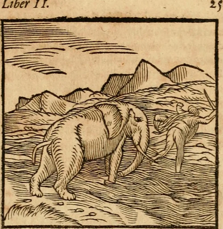 An illustration from Ioannis Pierii Valeriani Bellvnensis Hieroglyphica, sive, De sacris Ægyptiorvm aliarumq gentium literis commentariorum libri LVIII : cum duobus alijs ab eruditissimo viro annexis : accesserunt loco auctarij, Hieroglyphicorum collectanea, ex veteribus & recentioribus auctoribus descripta, & in sex libros digesta : Horapollinis item hieroglyphicorum libri duo, ex postrema Dauidis Hschelij correctione : prætereà eiusdem Pierij declamatiuncula pro barbis sacerdotum, & reliqua opuscula siue poemata omnia, 1614, leaf 88