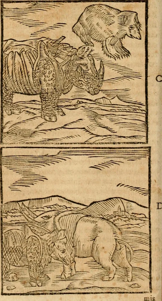 An illustration from Ioannis Pierii Valeriani Bellvnensis Hieroglyphica, sive, De sacris Ægyptiorvm aliarumq gentium literis commentariorum libri LVIII : cum duobus alijs ab eruditissimo viro annexis : accesserunt loco auctarij, Hieroglyphicorum collectanea, ex veteribus & recentioribus auctoribus descripta, & in sex libros digesta : Horapollinis item hieroglyphicorum libri duo, ex postrema Dauidis Hschelij correctione : prætereà eiusdem Pierij declamatiuncula pro barbis sacerdotum, & reliqua opuscula siue poemata omnia, 1614, leaf 89