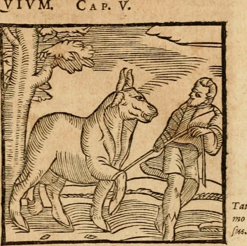 An illustration from Ioannis Pierii Valeriani Bellvnensis Hieroglyphica, sive, De sacris Ægyptiorvm aliarumq gentium literis commentariorum libri LVIII : cum duobus alijs ab eruditissimo viro annexis : accesserunt loco auctarij, Hieroglyphicorum collectanea, ex veteribus & recentioribus auctoribus descripta, & in sex libros digesta : Horapollinis item hieroglyphicorum libri duo, ex postrema Dauidis Hschelij correctione : prætereà eiusdem Pierij declamatiuncula pro barbis sacerdotum, & reliqua opuscula siue poemata omnia, 1614, leaf 94