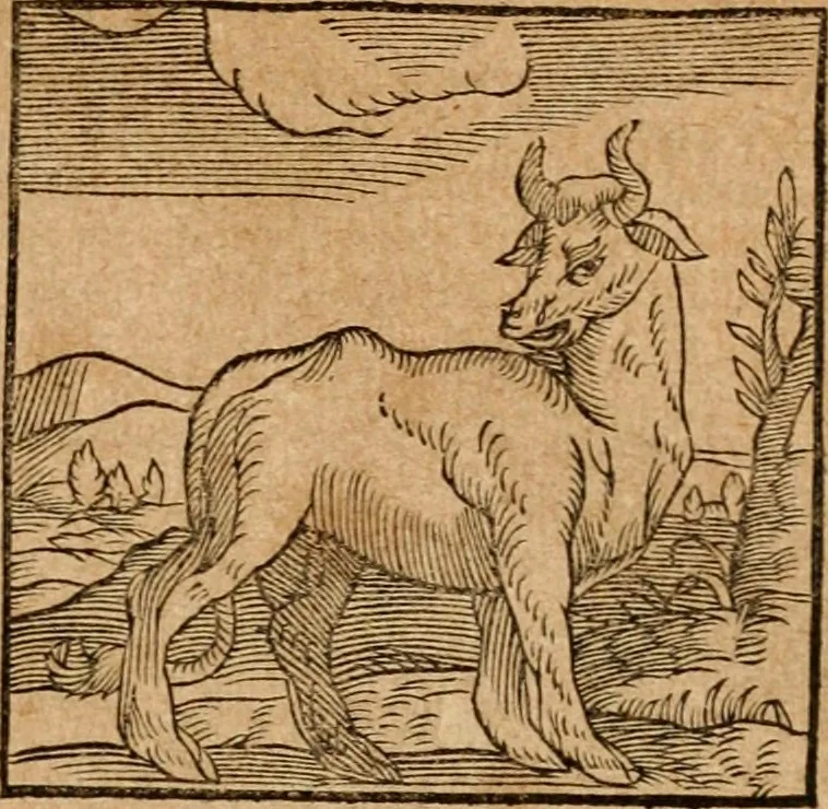 An illustration from Ioannis Pierii Valeriani Bellvnensis Hieroglyphica, sive, De sacris Ægyptiorvm aliarumq gentium literis commentariorum libri LVIII : cum duobus alijs ab eruditissimo viro annexis : accesserunt loco auctarij, Hieroglyphicorum collectanea, ex veteribus & recentioribus auctoribus descripta, & in sex libros digesta : Horapollinis item hieroglyphicorum libri duo, ex postrema Dauidis Hschelij correctione : prætereà eiusdem Pierij declamatiuncula pro barbis sacerdotum, & reliqua opuscula siue poemata omnia, 1614, leaf 96