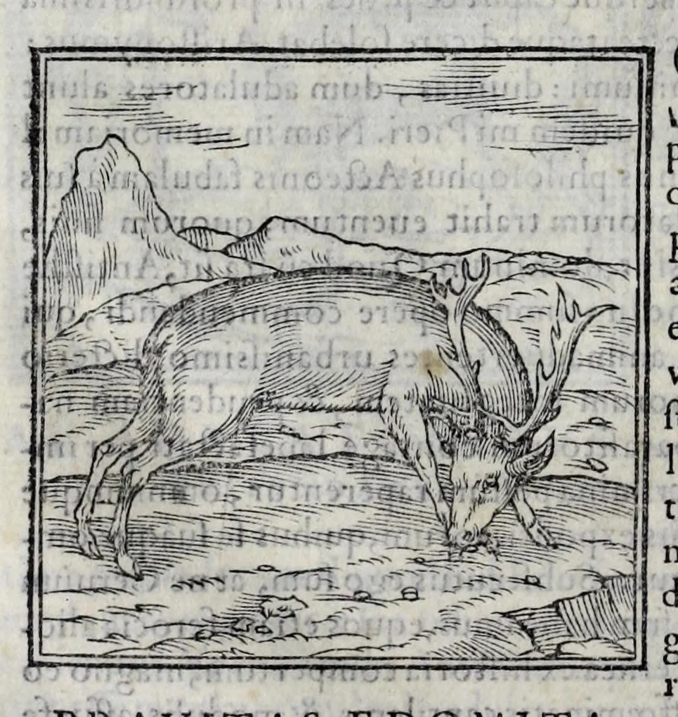 An illustration from Ioannis Pierii Valeriani Hieroglyphicorvm ex sacris Aegyptiorum literis libri octo, 1556, leaf 106