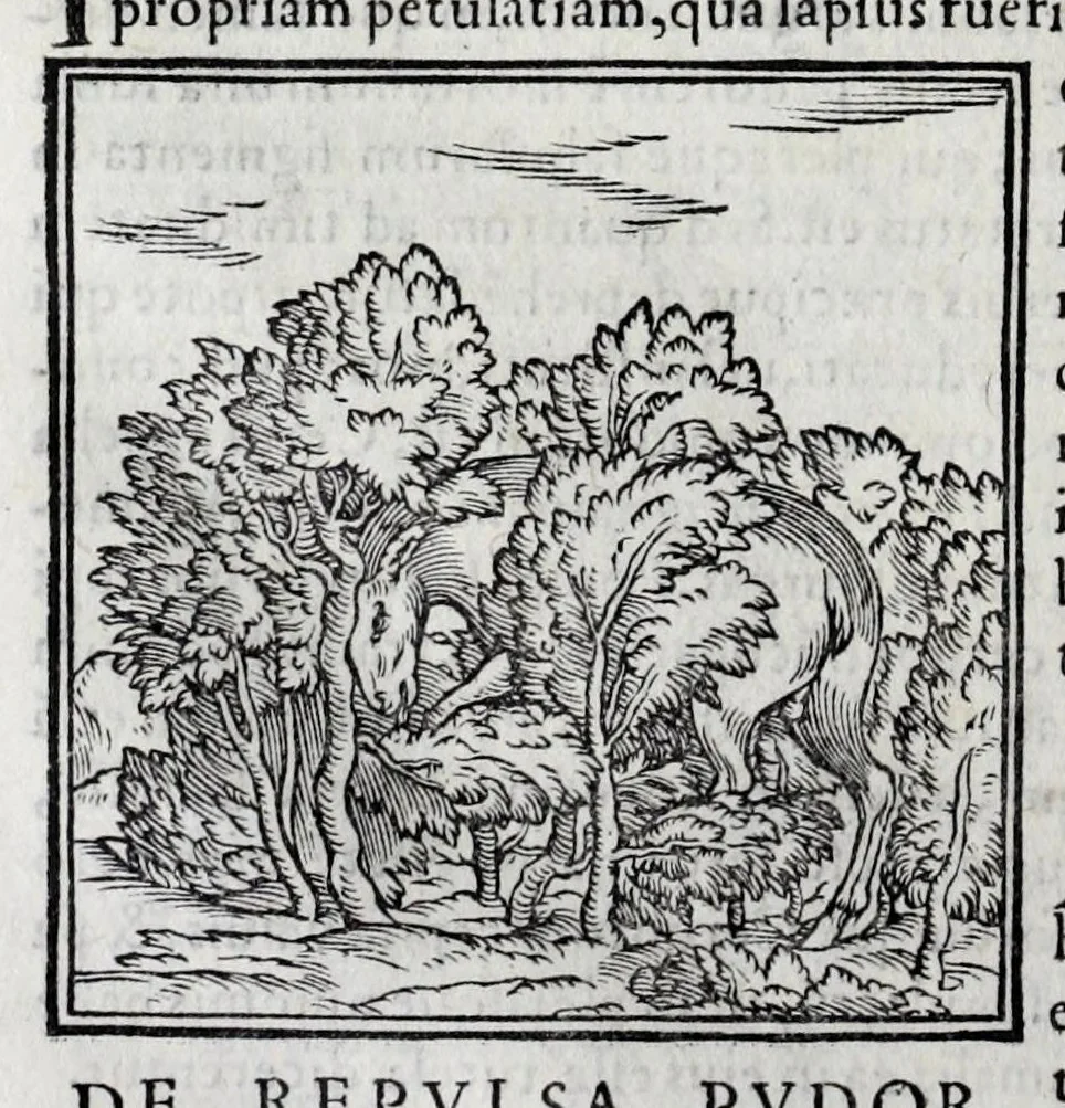 An illustration from Ioannis Pierii Valeriani Hieroglyphicorvm ex sacris Aegyptiorum literis libri octo, 1556, leaf 110