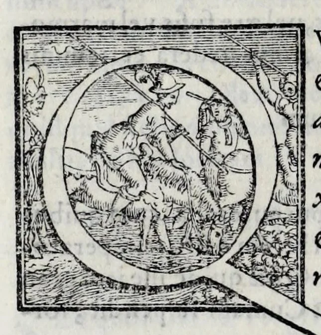 An illustration from Ioannis Pierii Valeriani Hieroglyphicorvm ex sacris Aegyptiorum literis libri octo, 1556, leaf 116