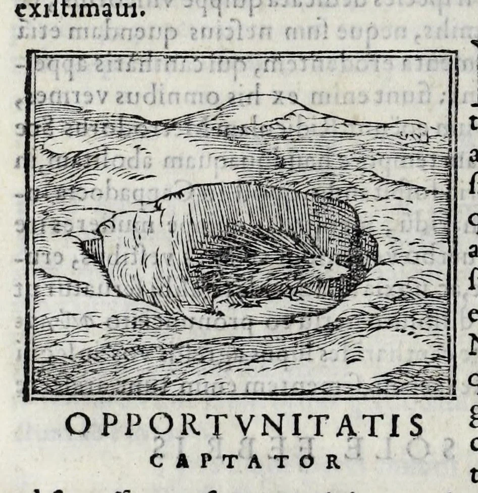 An illustration from Ioannis Pierii Valeriani Hieroglyphicorvm ex sacris Aegyptiorum literis libri octo, 1556, leaf 126