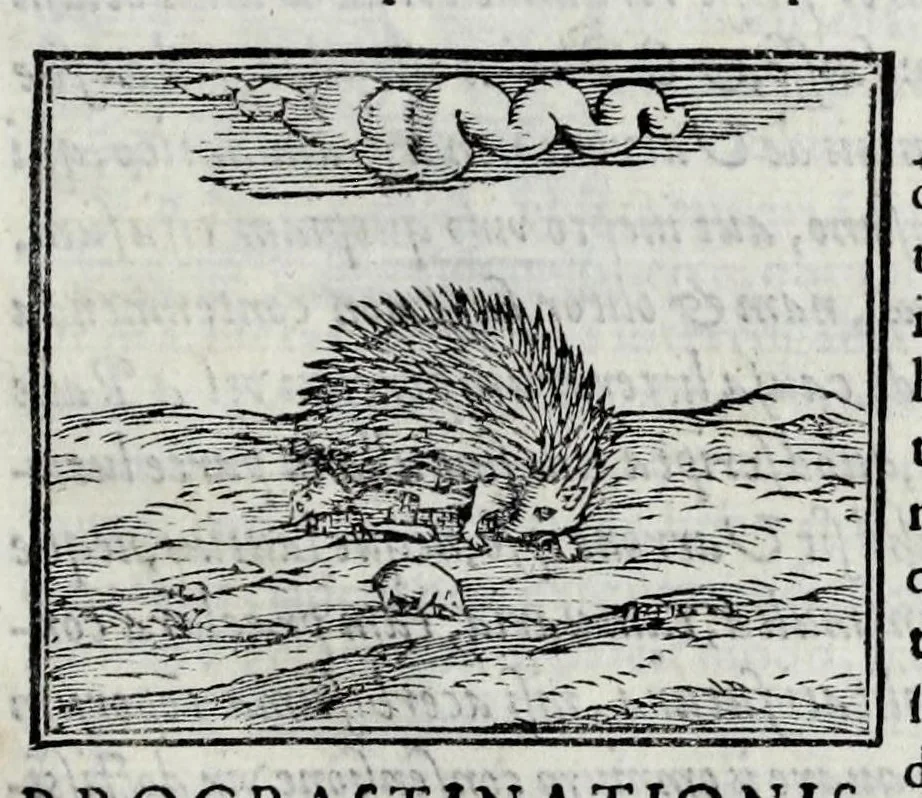 An illustration from Ioannis Pierii Valeriani Hieroglyphicorvm ex sacris Aegyptiorum literis libri octo, 1556, leaf 127