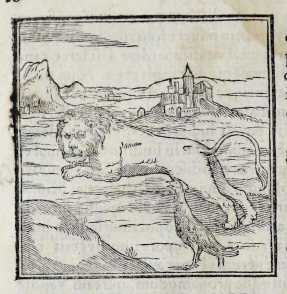An illustration from Ioannis Pierii Valeriani Hieroglyphicorvm ex sacris Aegyptiorum literis libri octo, 1556, leaf 16