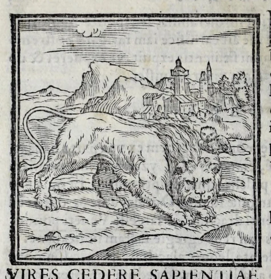 An illustration from Ioannis Pierii Valeriani Hieroglyphicorvm ex sacris Aegyptiorum literis libri octo, 1556, leaf 24