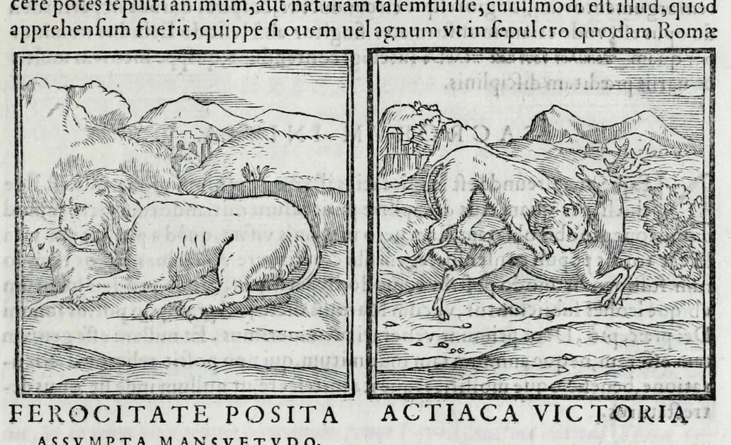 An illustration from Ioannis Pierii Valeriani Hieroglyphicorvm ex sacris Aegyptiorum literis libri octo, 1556, leaf 27