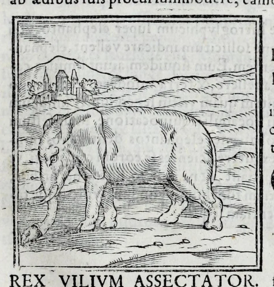 An illustration from Ioannis Pierii Valeriani Hieroglyphicorvm ex sacris Aegyptiorum literis libri octo, 1556, leaf 33