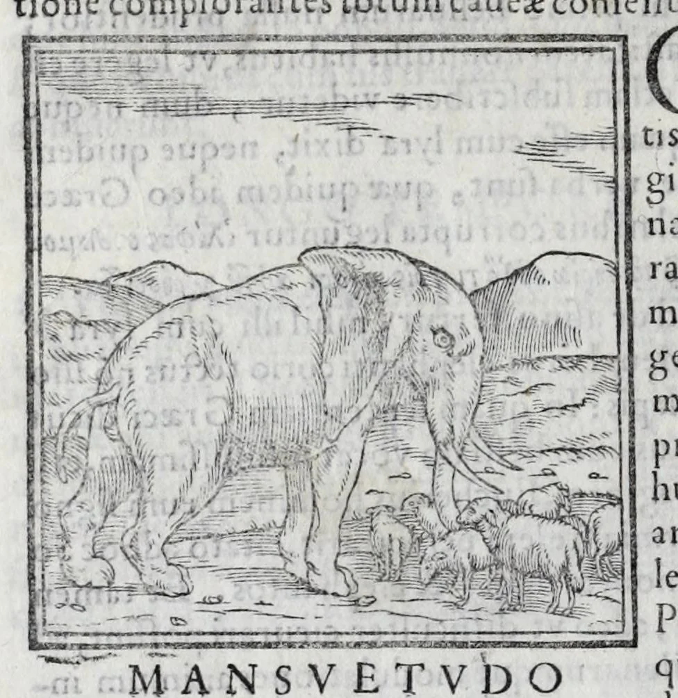 An illustration from Ioannis Pierii Valeriani Hieroglyphicorvm ex sacris Aegyptiorum literis libri octo, 1556, leaf 36