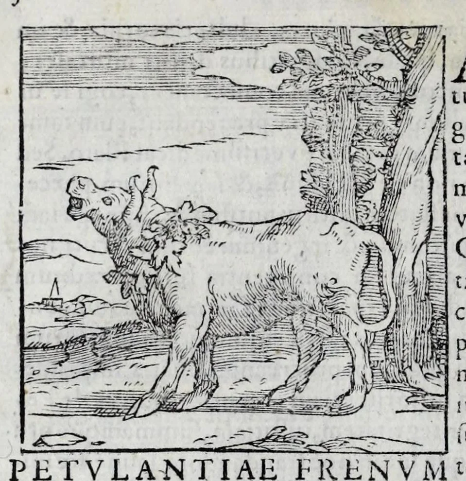 An illustration from Ioannis Pierii Valeriani Hieroglyphicorvm ex sacris Aegyptiorum literis libri octo, 1556, leaf 44