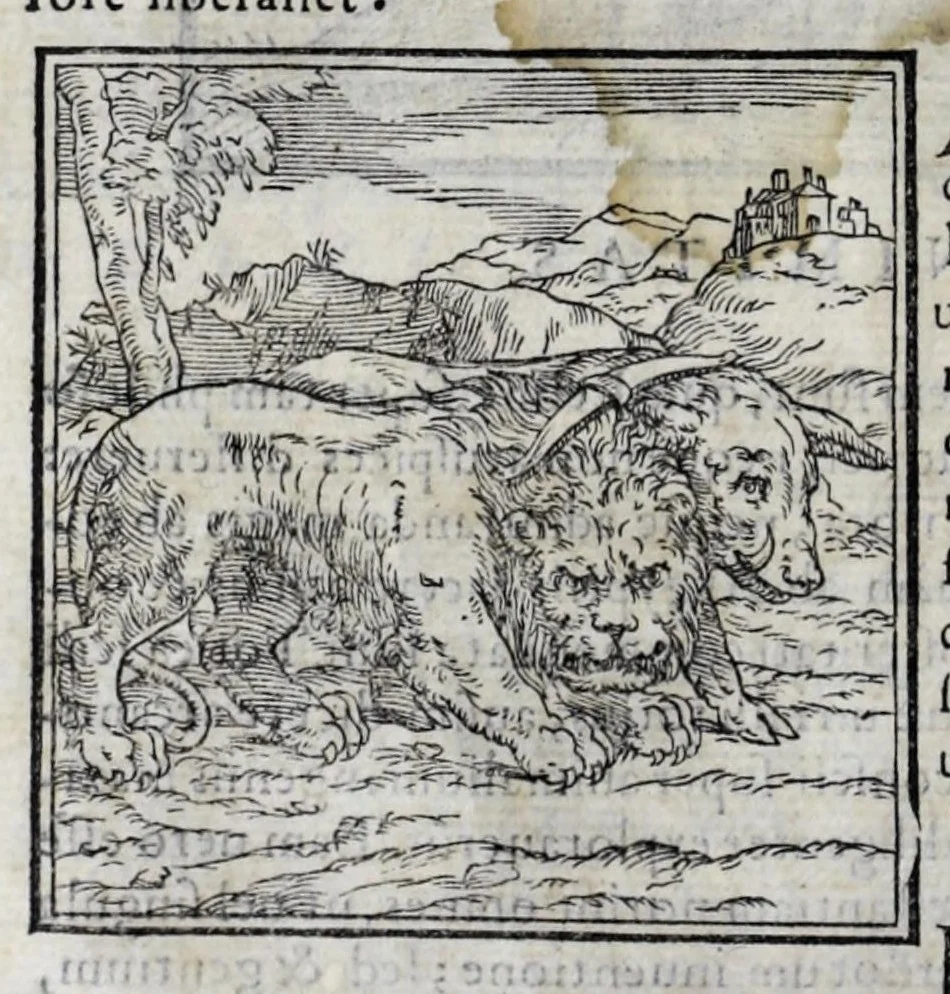 An illustration from Ioannis Pierii Valeriani Hieroglyphicorvm ex sacris Aegyptiorum literis libri octo, 1556, leaf 8