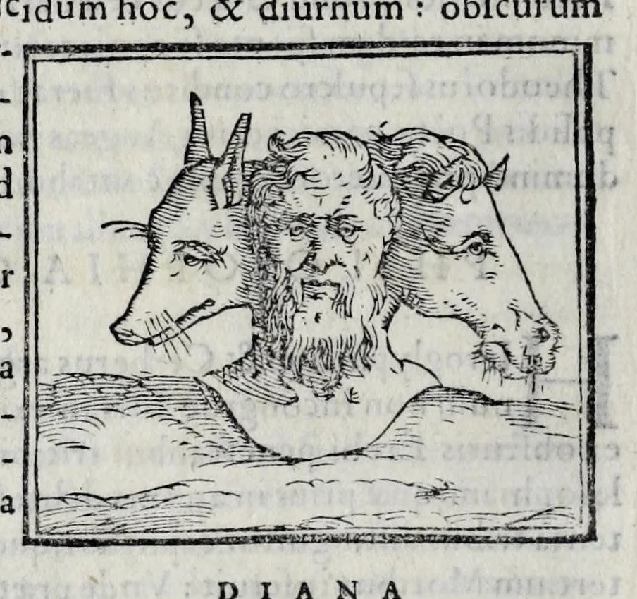 An illustration from Ioannis Pierii Valeriani Hieroglyphicorvm ex sacris Aegyptiorum literis libri octo, 1556, leaf 84