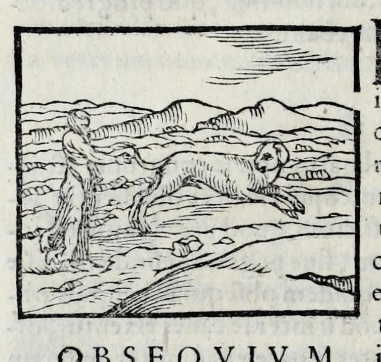 An illustration from Ioannis Pierii Valeriani Hieroglyphicorvm ex sacris Aegyptiorum literis libri octo, 1556, leaf 86
