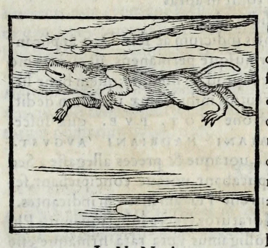 An illustration from Ioannis Pierii Valeriani Hieroglyphicorvm ex sacris Aegyptiorum literis libri octo, 1556, leaf 93
