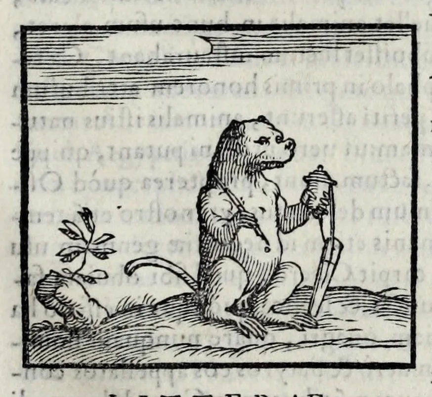 An illustration from Ioannis Pierii Valeriani Hieroglyphicorvm ex sacris Aegyptiorum literis libri octo, 1556, leaf 95