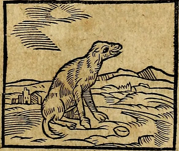 An illustration from Ioannis Pierii Valeriani Bellvnesis Hieroglyphica, sive De sacris Aegypticrvm aliarumq[ue] gentium literis, commentariorum libri LVIII cum duobus alijs ab eruditissimo viro annexis. Accesserunt loco auctarij, Hieroglyphicorum collectanea, ex veteribus & recentioribus auctoribus descripta, & in sex libros digesta. Horapollinis item hieroglyphicorum libri duo, ex postrema Dauidis Hoeschelij correctione. Praetereà eiusdem Pierij declamatiuncula Pro barbis sacerdotum, & reliqua opuscula siue Poemata omnia, 1614, leaf 120