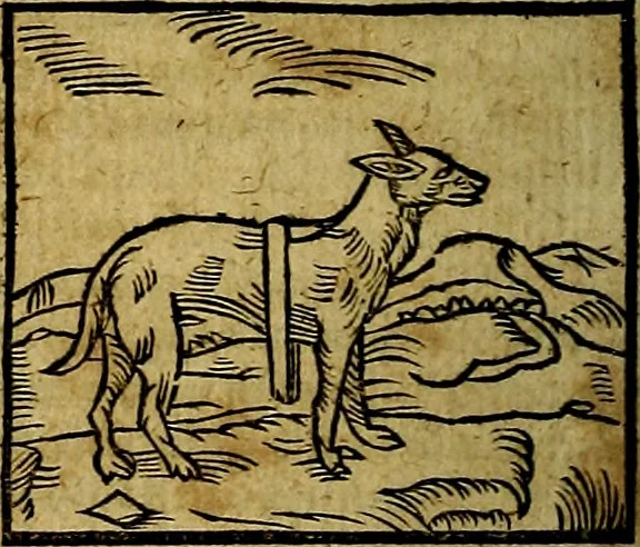An illustration from Ioannis Pierii Valeriani Bellvnesis Hieroglyphica, sive De sacris Aegypticrvm aliarumq[ue] gentium literis, commentariorum libri LVIII cum duobus alijs ab eruditissimo viro annexis. Accesserunt loco auctarij, Hieroglyphicorum collectanea, ex veteribus & recentioribus auctoribus descripta, & in sex libros digesta. Horapollinis item hieroglyphicorum libri duo, ex postrema Dauidis Hoeschelij correctione. Praetereà eiusdem Pierij declamatiuncula Pro barbis sacerdotum, & reliqua opuscula siue Poemata omnia, 1614, leaf 125