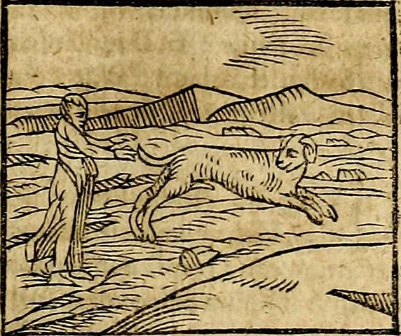 An illustration from Ioannis Pierii Valeriani Bellvnesis Hieroglyphica, sive De sacris Aegypticrvm aliarumq[ue] gentium literis, commentariorum libri LVIII cum duobus alijs ab eruditissimo viro annexis. Accesserunt loco auctarij, Hieroglyphicorum collectanea, ex veteribus & recentioribus auctoribus descripta, & in sex libros digesta. Horapollinis item hieroglyphicorum libri duo, ex postrema Dauidis Hoeschelij correctione. Praetereà eiusdem Pierij declamatiuncula Pro barbis sacerdotum, & reliqua opuscula siue Poemata omnia, 1614, leaf 126