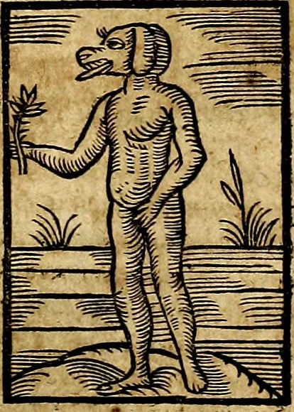 An illustration from Ioannis Pierii Valeriani Bellvnesis Hieroglyphica, sive De sacris Aegypticrvm aliarumq[ue] gentium literis, commentariorum libri LVIII cum duobus alijs ab eruditissimo viro annexis. Accesserunt loco auctarij, Hieroglyphicorum collectanea, ex veteribus & recentioribus auctoribus descripta, & in sex libros digesta. Horapollinis item hieroglyphicorum libri duo, ex postrema Dauidis Hoeschelij correctione. Praetereà eiusdem Pierij declamatiuncula Pro barbis sacerdotum, & reliqua opuscula siue Poemata omnia, 1614, leaf 130