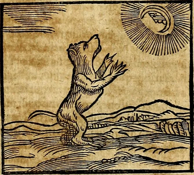 An illustration from Ioannis Pierii Valeriani Bellvnesis Hieroglyphica, sive De sacris Aegypticrvm aliarumq[ue] gentium literis, commentariorum libri LVIII cum duobus alijs ab eruditissimo viro annexis. Accesserunt loco auctarij, Hieroglyphicorum collectanea, ex veteribus & recentioribus auctoribus descripta, & in sex libros digesta. Horapollinis item hieroglyphicorum libri duo, ex postrema Dauidis Hoeschelij correctione. Praetereà eiusdem Pierij declamatiuncula Pro barbis sacerdotum, & reliqua opuscula siue Poemata omnia, 1614, leaf 132