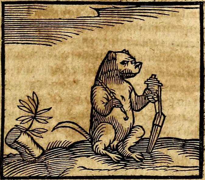 An illustration from Ioannis Pierii Valeriani Bellvnesis Hieroglyphica, sive De sacris Aegypticrvm aliarumq[ue] gentium literis, commentariorum libri LVIII cum duobus alijs ab eruditissimo viro annexis. Accesserunt loco auctarij, Hieroglyphicorum collectanea, ex veteribus & recentioribus auctoribus descripta, & in sex libros digesta. Horapollinis item hieroglyphicorum libri duo, ex postrema Dauidis Hoeschelij correctione. Praetereà eiusdem Pierij declamatiuncula Pro barbis sacerdotum, & reliqua opuscula siue Poemata omnia, 1614, leaf 134