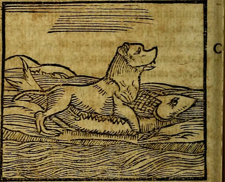 An illustration from Ioannis Pierii Valeriani Bellvnesis Hieroglyphica, sive De sacris Aegypticrvm aliarumq[ue] gentium literis, commentariorum libri LVIII cum duobus alijs ab eruditissimo viro annexis. Accesserunt loco auctarij, Hieroglyphicorum collectanea, ex veteribus & recentioribus auctoribus descripta, & in sex libros digesta. Horapollinis item hieroglyphicorum libri duo, ex postrema Dauidis Hoeschelij correctione. Praetereà eiusdem Pierij declamatiuncula Pro barbis sacerdotum, & reliqua opuscula siue Poemata omnia, 1614, leaf 135